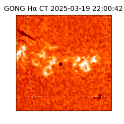 gong - 2025-03-19T22:00:42