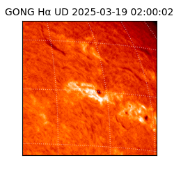 gong - 2025-03-19T02:00:02