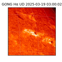 gong - 2025-03-19T03:00:02