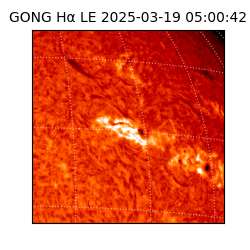 gong - 2025-03-19T05:00:42