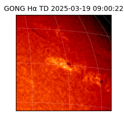 gong - 2025-03-19T09:00:22