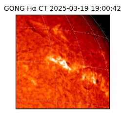 gong - 2025-03-19T19:00:42