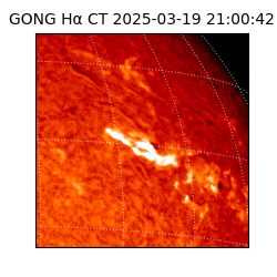 gong - 2025-03-19T21:00:42