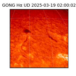 gong - 2025-03-19T02:00:02