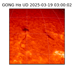 gong - 2025-03-19T03:00:02