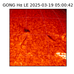 gong - 2025-03-19T05:00:42