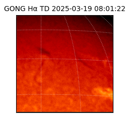 gong - 2025-03-19T08:01:22