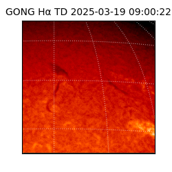 gong - 2025-03-19T09:00:22