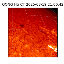 gong - 2025-03-19T21:00:42
