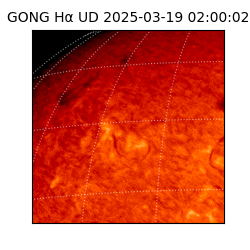 gong - 2025-03-19T02:00:02