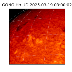 gong - 2025-03-19T03:00:02