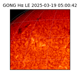 gong - 2025-03-19T05:00:42