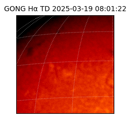 gong - 2025-03-19T08:01:22