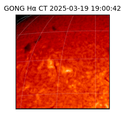 gong - 2025-03-19T19:00:42