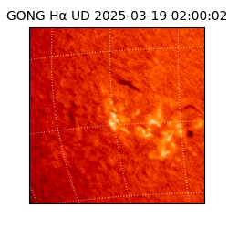 gong - 2025-03-19T02:00:02