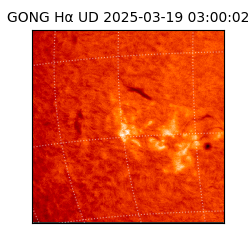 gong - 2025-03-19T03:00:02