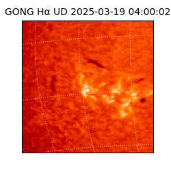 gong - 2025-03-19T04:00:02