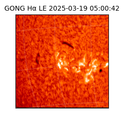 gong - 2025-03-19T05:00:42