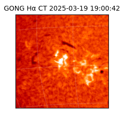 gong - 2025-03-19T19:00:42
