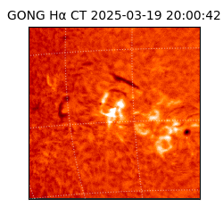 gong - 2025-03-19T20:00:42