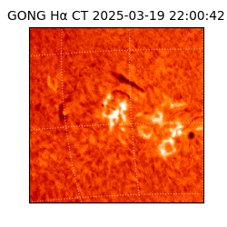 gong - 2025-03-19T22:00:42
