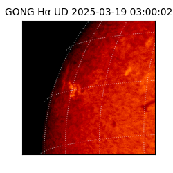 gong - 2025-03-19T03:00:02