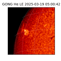 gong - 2025-03-19T05:00:42