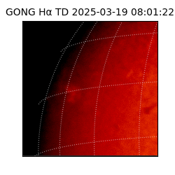 gong - 2025-03-19T08:01:22