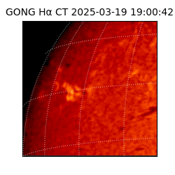 gong - 2025-03-19T19:00:42