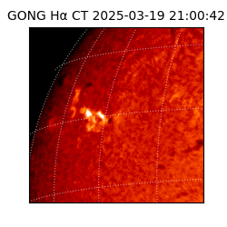gong - 2025-03-19T21:00:42
