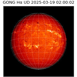 gong - 2025-03-19T02:00:02