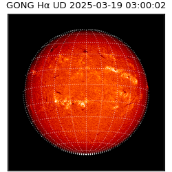 gong - 2025-03-19T03:00:02
