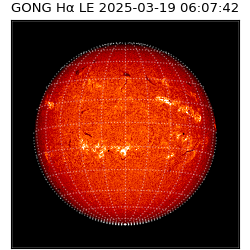 gong - 2025-03-19T06:07:42