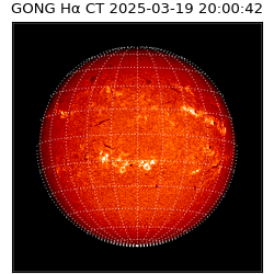 gong - 2025-03-19T20:00:42