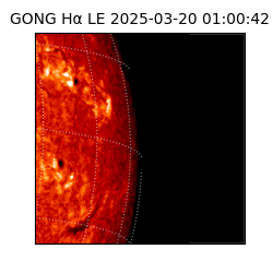 gong - 2025-03-20T01:00:42