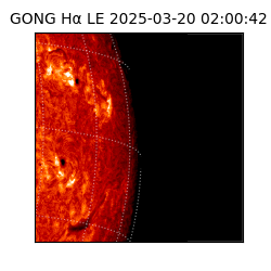 gong - 2025-03-20T02:00:42