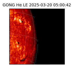 gong - 2025-03-20T05:00:42