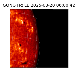 gong - 2025-03-20T06:00:42