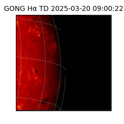 gong - 2025-03-20T09:00:22