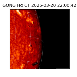gong - 2025-03-20T22:00:42