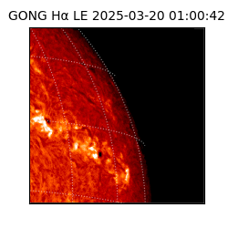 gong - 2025-03-20T01:00:42