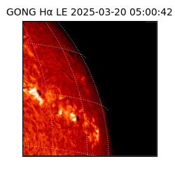 gong - 2025-03-20T05:00:42