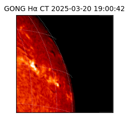 gong - 2025-03-20T19:00:42