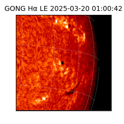 gong - 2025-03-20T01:00:42