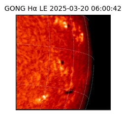 gong - 2025-03-20T06:00:42
