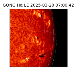 gong - 2025-03-20T07:00:42