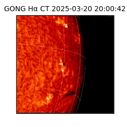 gong - 2025-03-20T20:00:42