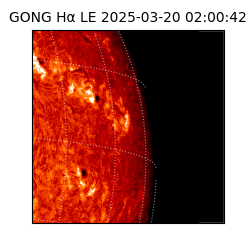 gong - 2025-03-20T02:00:42
