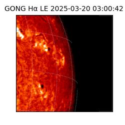 gong - 2025-03-20T03:00:42