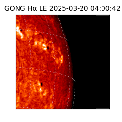 gong - 2025-03-20T04:00:42